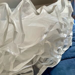 NWOT petticoat